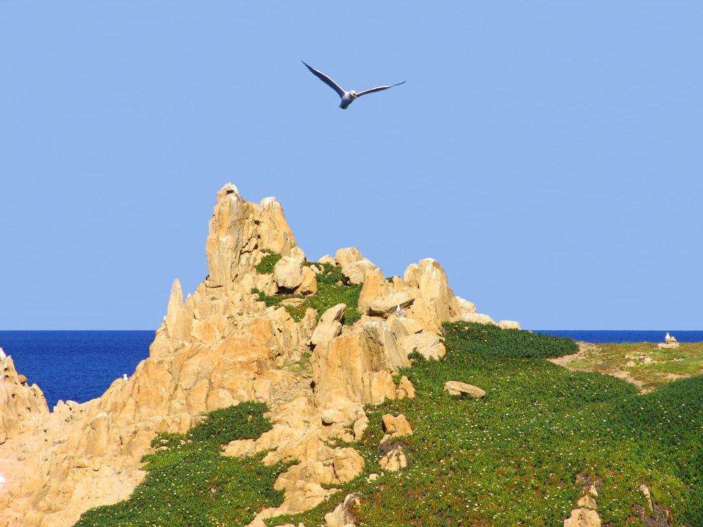 Maison Coeur De Village Ramatuelle Dış mekan fotoğraf